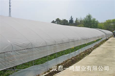 12丝 012mmpep利得膜 温室大棚膜长寿无滴膜农用塑料薄膜塑料布 阿里巴巴