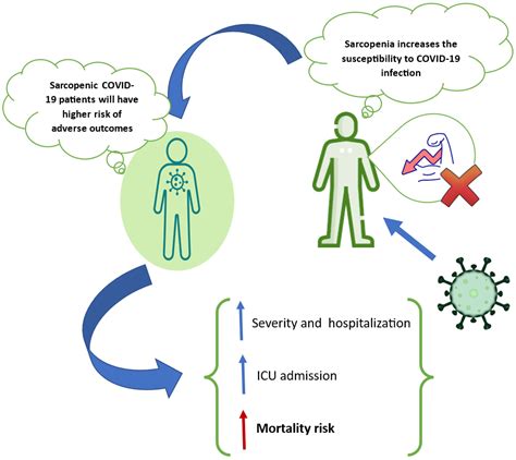 Sarcopenia And Mortality In Critically Ill Covid 19 Patients