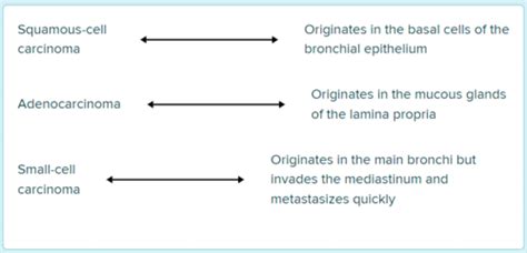 Ch Respiratory A P Flashcards Quizlet