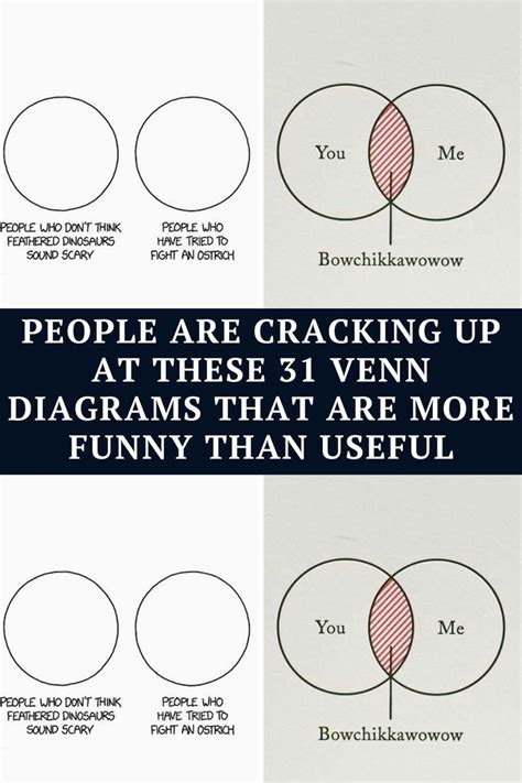 Comedian Engineer Venn Diagram How To Choose Your Career Ve