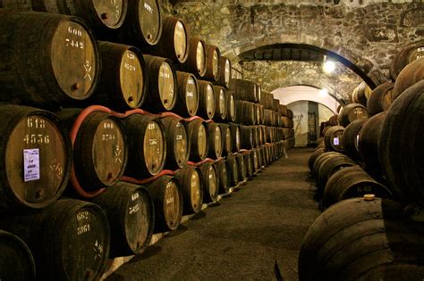 Das Melhores Caves Do Vinho Do Porto Para Visitar Em Gaia Vortexmag