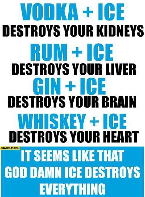 Pin By L Mulvehill On Liquor Memes Humor Vodka Ice Whiskey Ice