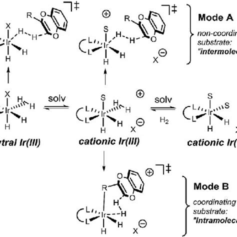 Possible solvation equilibrium and proposed protonation transition ...