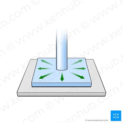 Plane Joint Diagram