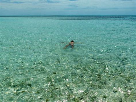 Snorkeling Bay - Picture of Coco Cay, Berry Islands - TripAdvisor