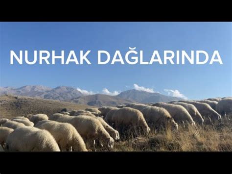 KÜÇÜK KARABAŞLAR YETİŞİYOR NASIL COBAN KÖPEĞİ OLUCAKLAR YouTube