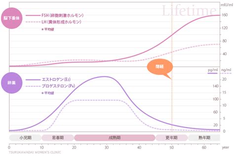 女性ホルモン検査でわかること4・更年期と閉経｜町田市鶴川の産婦人科｜鶴川台ウィメンズクリニック