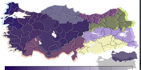 Türkiye nin En Zeki İlleri Belli Oldu İşte Türkiye de En Yüksek Zekaya