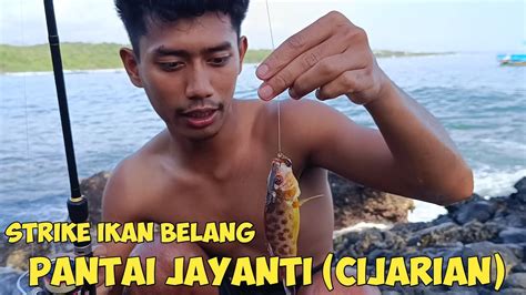 SPOT CIJARIAN PANTAI JAYANTI IKANNYA BANYAK MANCING SAMBIL MENGLIWET