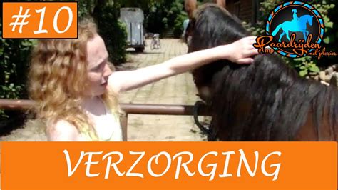 Paardrijden Verzorging Van Je Paard Of Pony Youtube