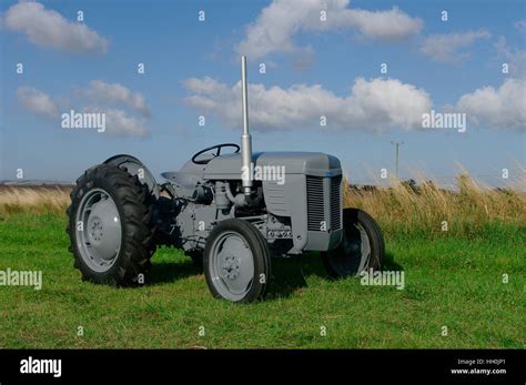 1954 Ferguson Tef 20 Tractor Stock Photo Alamy