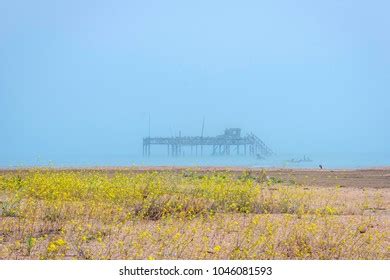 Old Oil Rig Caspian Sea Azerbaijan Stock Photo 1046081593 | Shutterstock