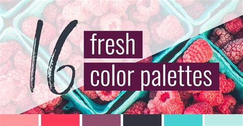 Fresh Color Palettes For Your Next Project Hex Codes Decor Color 64