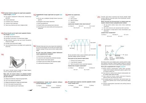 Solution Destek Ve Hareket S Stem Ve Ley Ali Ma Sorulari Studypool