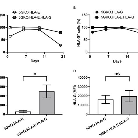 Expression Of HLA E And Or HLA G On 5GKO Cells A Schematic Of