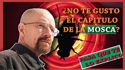 Spoiler Breaking Bad Te Aburrio El Capitulo De La Mosca Te Lo