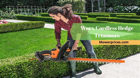 WORX Cordless Hedge Trimmer Review 2020: Perfect For The Home