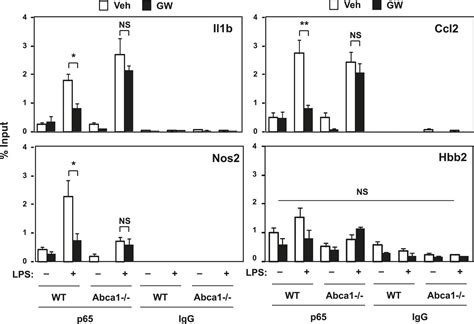 Figures And Data In Lxrs Link Metabolism To Inflammation Through Abca1 Dependent Regulation Of