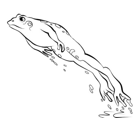 Jumping Frog Coloring Pages Sketch Coloring Page | Frog drawing, Frog ...