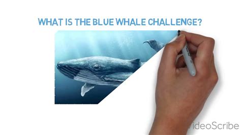 Blue Whale Challenge Youtube