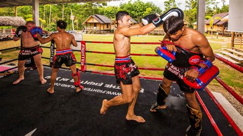 Muay Thai Boxing Camp In Thailand And Online Education Edutwitt