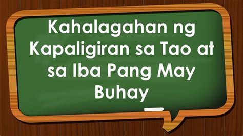 Ano Ang Kahalagahan Ng Malinis Na Kapaligiran Malinis Alikabok