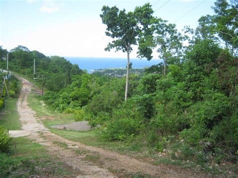 Residential Lot For Sale In Oracabessa St Mary Jamaica