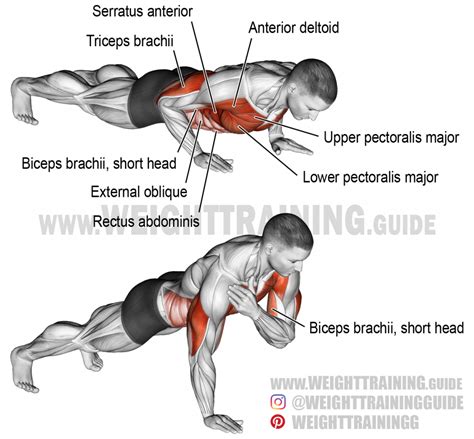 Shoulder Tap Push Up Exercise Push Up Workout Triceps Workout Gym