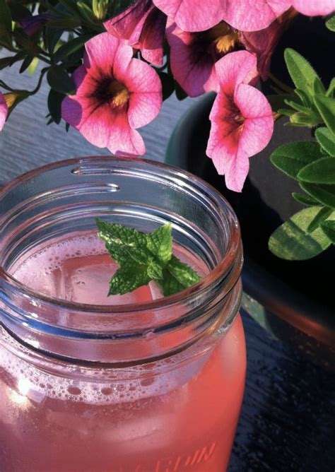 Rhubarb Ice Tea L Sweet Vegan Living