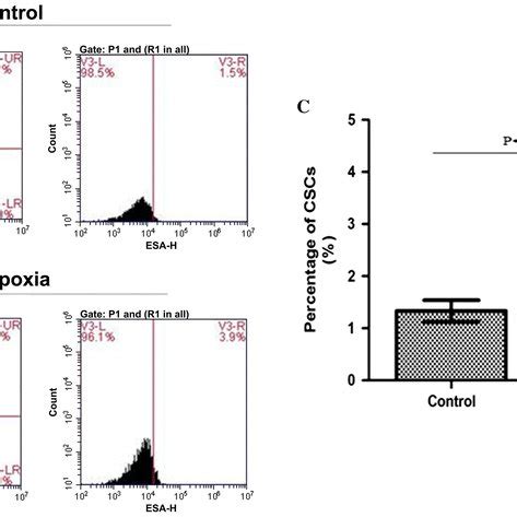 Effect Of Hypoxia On Expression Of Stem Cell Markers In MDA MB 231