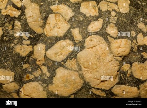 Porphyry Montana Feldspar Phenocrysts In A Mafic Matrixbasalt