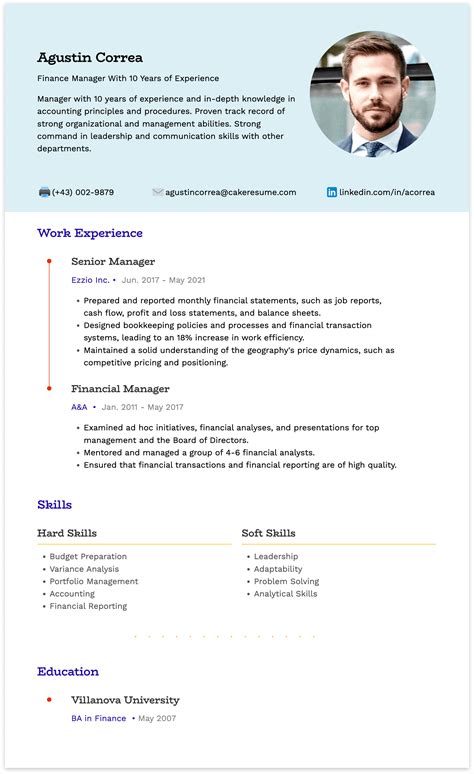 CFO Resume Examples Professional Resume Examples, Resume, 51% OFF