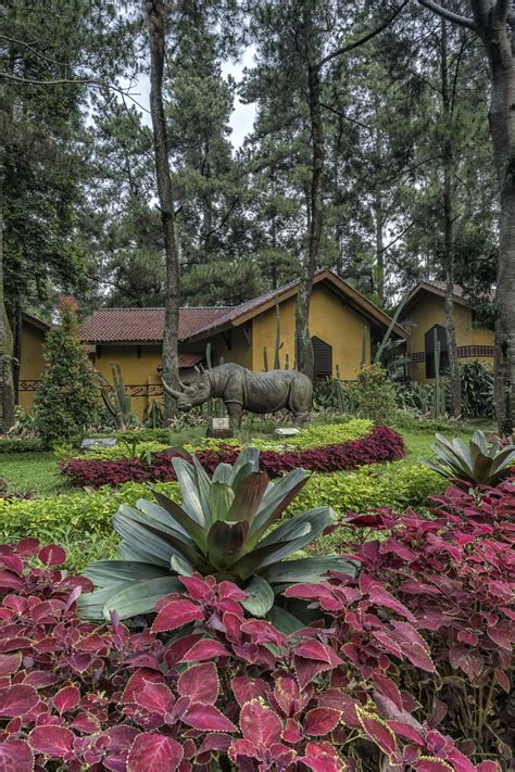 Royal Safari Garden Royal Safari Garden Hotel Puncak Indonesia