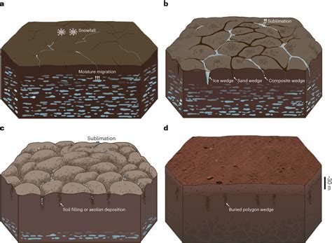 Strange Polygon Structures Discovered Buried Underneath The Surface Of Mars Iflscience