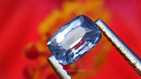 Discover The Radiance Of Ceylon S Natural Light Blue Sapphire Danu Group