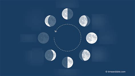 Moon Phases Diagram Quizlet