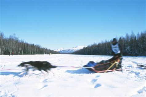 Iditarod 2001