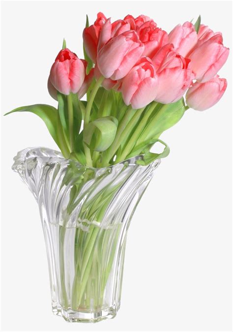 Vase Png Flower Vases With Bible Verses Free Transparent Png