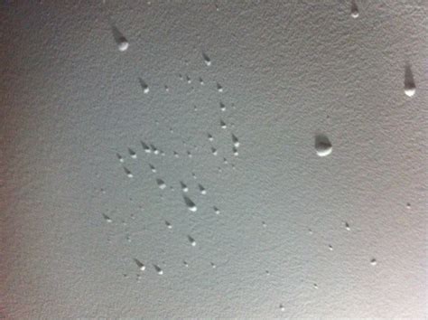 Paint Blisters On Ceiling Shelly Lighting