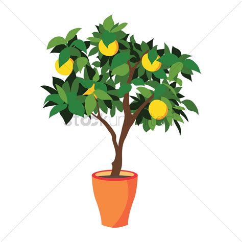 Lemon Tree Creative Transparent Background Png Clipart Hiclipart