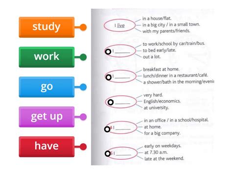 Verbs Labelled Diagram