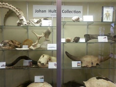 Daniel M Fisk Museum Of Natural History Hillsdale College