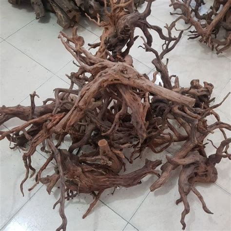 Jual Kayu Rasamala Aquascape Ukuran L Shopee Indonesia