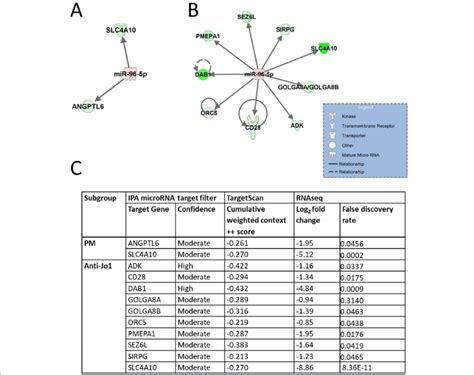 Networks Of Predicted Targets Of Mir 96 5p Downregulated In Idiopathic