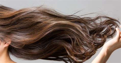 Como Ter Cabelos Longos Dicas E Cuidados Para O Cabelo Crescer