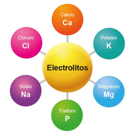 UAPA Electrolitos Ion Sodio E Ion Potasio