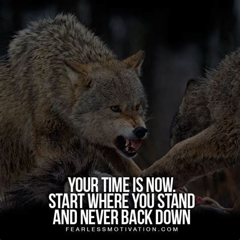 Wolf Pack Quotes Wolves Quote Wolf Qoutes Wolf Pack Quotes Lone Wolf