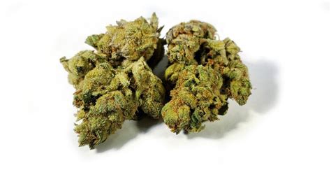 What Are Hybrid Cannabis Strains? - Spinfuel Wellness