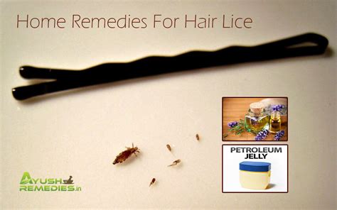 6 Great Home Remedies For Hair Lice Beat Lice Infestation