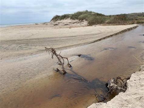 Premium Photo Driftwood On Sand At Beach Against Sky